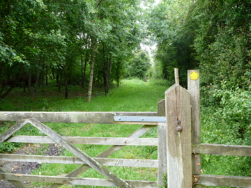 footpath near Upper Dicker