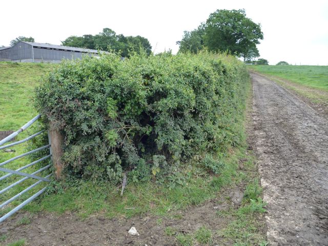 turn left onto a very slippery concrete path