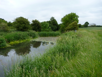 the Cuckmere River