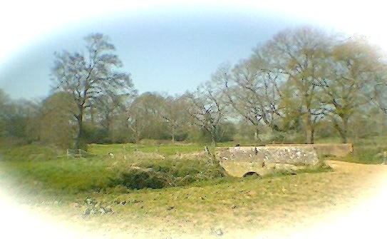 a small bridge over river or canal near Upper Dicker, seen on the walk to Bramble Grove