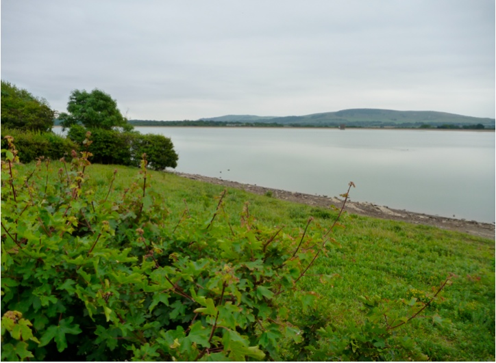 A view across the Arlington reservoir, by Charles A view across the Arlington reservoir, by Charles
