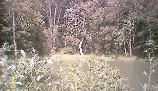 a hidden pond at Parkwood farm a hidden pond at Parkwood farm